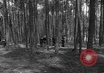 Immagine di I civili tedeschi esumano gli ebrei assassinati Neunburg Germania, 1945, secondo 8 filmato di repertorio 65675055251