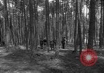 Immagine di I civili tedeschi esumano gli ebrei assassinati Neunburg Germania, 1945, secondo 10 filmato di repertorio 65675055251