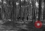 Immagine di I civili tedeschi esumano gli ebrei assassinati Neunburg Germania, 1945, secondo 11 filmato di repertorio 65675055251