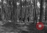 Immagine di I civili tedeschi esumano gli ebrei assassinati Neunburg Germania, 1945, secondo 15 filmato di repertorio 65675055251