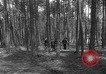 Immagine di I civili tedeschi esumano gli ebrei assassinati Neunburg Germania, 1945, secondo 16 filmato di repertorio 65675055251