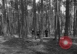 Immagine di I civili tedeschi esumano gli ebrei assassinati Neunburg Germania, 1945, secondo 17 filmato di repertorio 65675055251
