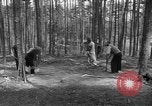 Immagine di I civili tedeschi esumano gli ebrei assassinati Neunburg Germania, 1945, secondo 18 filmato di repertorio 65675055251
