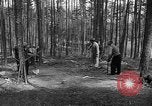 Immagine di I civili tedeschi esumano gli ebrei assassinati Neunburg Germania, 1945, secondo 19 filmato di repertorio 65675055251