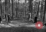 Immagine di I civili tedeschi esumano gli ebrei assassinati Neunburg Germania, 1945, secondo 20 filmato di repertorio 65675055251