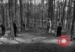 Immagine di I civili tedeschi esumano gli ebrei assassinati Neunburg Germania, 1945, secondo 23 filmato di repertorio 65675055251