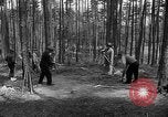 Immagine di I civili tedeschi esumano gli ebrei assassinati Neunburg Germania, 1945, secondo 24 filmato di repertorio 65675055251