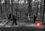 Immagine di I civili tedeschi esumano gli ebrei assassinati Neunburg Germania, 1945, secondo 29 filmato di repertorio 65675055251