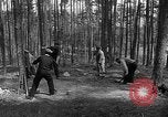 Immagine di I civili tedeschi esumano gli ebrei assassinati Neunburg Germania, 1945, secondo 31 filmato di repertorio 65675055251