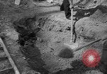 Immagine di I civili tedeschi esumano gli ebrei assassinati Neunburg Germania, 1945, secondo 39 filmato di repertorio 65675055251