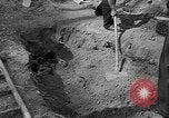 Immagine di I civili tedeschi esumano gli ebrei assassinati Neunburg Germania, 1945, secondo 40 filmato di repertorio 65675055251