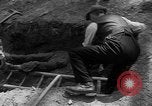 Immagine di I civili tedeschi esumano gli ebrei assassinati Neunburg Germania, 1945, secondo 44 filmato di repertorio 65675055251