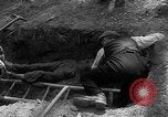 Immagine di I civili tedeschi esumano gli ebrei assassinati Neunburg Germania, 1945, secondo 45 filmato di repertorio 65675055251