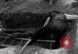 Immagine di I civili tedeschi esumano gli ebrei assassinati Neunburg Germania, 1945, secondo 46 filmato di repertorio 65675055251