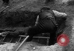 Immagine di I civili tedeschi esumano gli ebrei assassinati Neunburg Germania, 1945, secondo 51 filmato di repertorio 65675055251