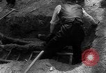 Immagine di I civili tedeschi esumano gli ebrei assassinati Neunburg Germania, 1945, secondo 53 filmato di repertorio 65675055251