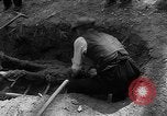 Immagine di I civili tedeschi esumano gli ebrei assassinati Neunburg Germania, 1945, secondo 55 filmato di repertorio 65675055251
