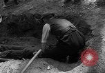 Immagine di I civili tedeschi esumano gli ebrei assassinati Neunburg Germania, 1945, secondo 57 filmato di repertorio 65675055251