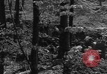 Immagine di Xvii soldati di divisione Essen Germania, 1945, secondo 53 filmato di repertorio 65675055252