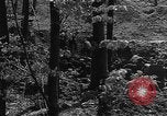 Immagine di Xvii soldati di divisione Essen Germania, 1945, secondo 54 filmato di repertorio 65675055252