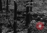 Immagine di Xvii soldati di divisione Essen Germania, 1945, secondo 56 filmato di repertorio 65675055252