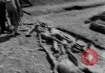 Immagine di Civili tedesco Landsberg Germania, 1945, secondo 42 filmato di repertorio 65675055254
