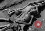 Immagine di Civili tedesco Landsberg Germania, 1945, secondo 48 filmato di repertorio 65675055254
