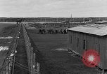 Immagine di Corpi morti Landsberg Germania, 1945, secondo 37 filmato di repertorio 65675055255
