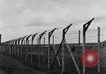 Immagine di Corpi morti Landsberg Germania, 1945, secondo 41 filmato di repertorio 65675055255