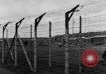 Immagine di Corpi morti Landsberg Germania, 1945, secondo 42 filmato di repertorio 65675055255