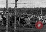 Immagine di Corpi morti Landsberg Germania, 1945, secondo 46 filmato di repertorio 65675055255