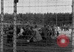 Immagine di Corpi morti Landsberg Germania, 1945, secondo 48 filmato di repertorio 65675055255