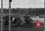 Immagine di Corpi morti Landsberg Germania, 1945, secondo 49 filmato di repertorio 65675055255