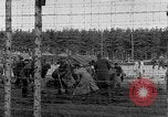 Immagine di Corpi morti Landsberg Germania, 1945, secondo 50 filmato di repertorio 65675055255