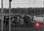 Immagine di Corpi morti Landsberg Germania, 1945, secondo 51 filmato di repertorio 65675055255