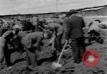 Immagine di Corpi morti Landsberg Germania, 1945, secondo 55 filmato di repertorio 65675055255
