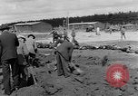 Immagine di Corpi morti Landsberg Germania, 1945, secondo 57 filmato di repertorio 65675055255