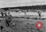 Immagine di Corpi morti Landsberg Germania, 1945, secondo 58 filmato di repertorio 65675055255