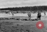 Immagine di Corpi morti Landsberg Germania, 1945, secondo 59 filmato di repertorio 65675055255