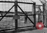 Standbild Leichen Landsberg Deutschland, 1945, aus Sekunde 10 historischem Filmmaterial Videoclip 65675055256