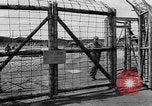 Standbild Leichen Landsberg Deutschland, 1945, aus Sekunde 11 historischem Filmmaterial Videoclip 65675055256