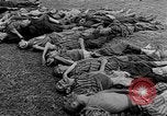 Standbild Leichen Landsberg Deutschland, 1945, aus Sekunde 13 historischem Filmmaterial Videoclip 65675055256