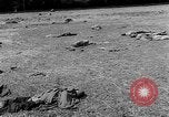 Standbild Leichen Landsberg Deutschland, 1945, aus Sekunde 24 historischem Filmmaterial Videoclip 65675055256