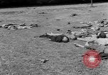 Standbild Leichen Landsberg Deutschland, 1945, aus Sekunde 26 historischem Filmmaterial Videoclip 65675055256