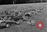 Standbild Leichen Landsberg Deutschland, 1945, aus Sekunde 29 historischem Filmmaterial Videoclip 65675055256