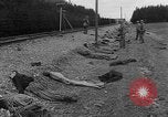Standbild Leichen Landsberg Deutschland, 1945, aus Sekunde 46 historischem Filmmaterial Videoclip 65675055256