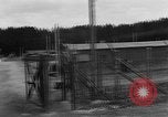 Standbild Leichen Landsberg Deutschland, 1945, aus Sekunde 54 historischem Filmmaterial Videoclip 65675055256