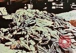 Image of Dachau Concentration Camp Dachau Germany, 1945, second 61 stock footage video 65675055259