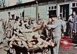 Image of Dachau Concentration Camp Dachau Germany, 1945, second 60 stock footage video 65675055266