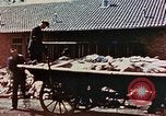 Standbild Konzentrationslager Dachau Dachau Deutschland, 1945, aus Sekunde 26 historischem Filmmaterial Videoclip 65675055273